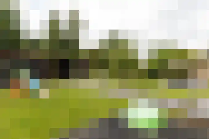 Trekvalk 6 Nieuwegein thumbnail 24