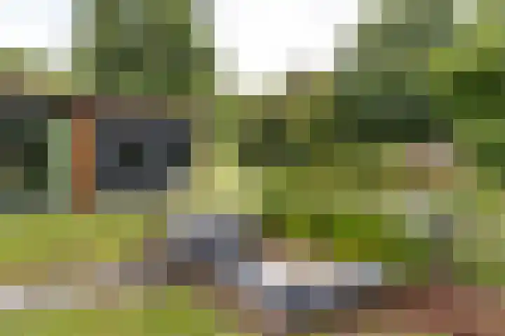 Trekvalk 6 Nieuwegein thumbnail 27