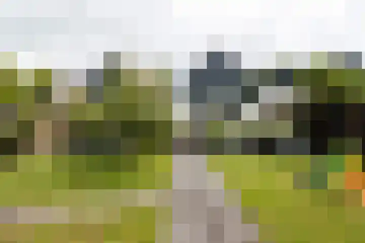 Trekvalk 6 Nieuwegein thumbnail 28