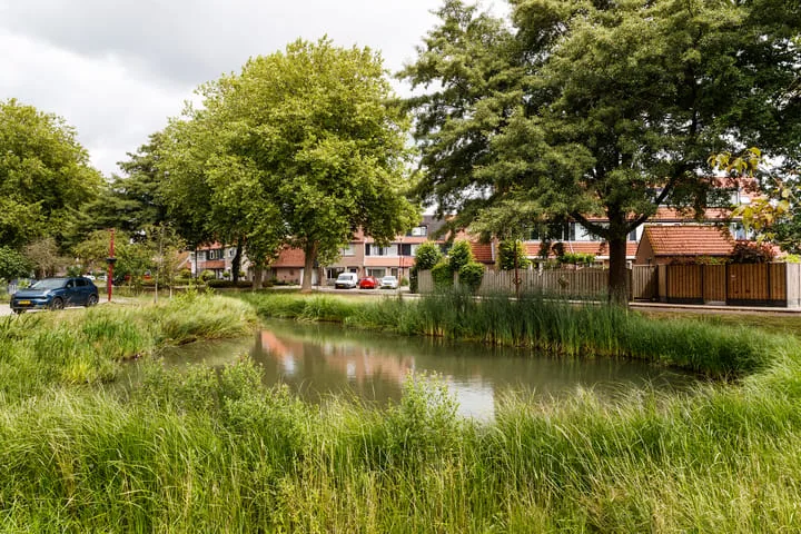 Trekvalk 6 Nieuwegein thumbnail 41