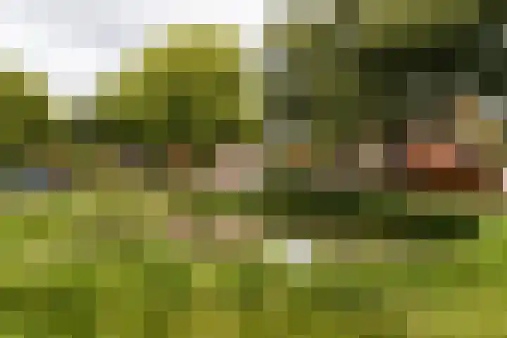 Trekvalk 6 Nieuwegein thumbnail 41