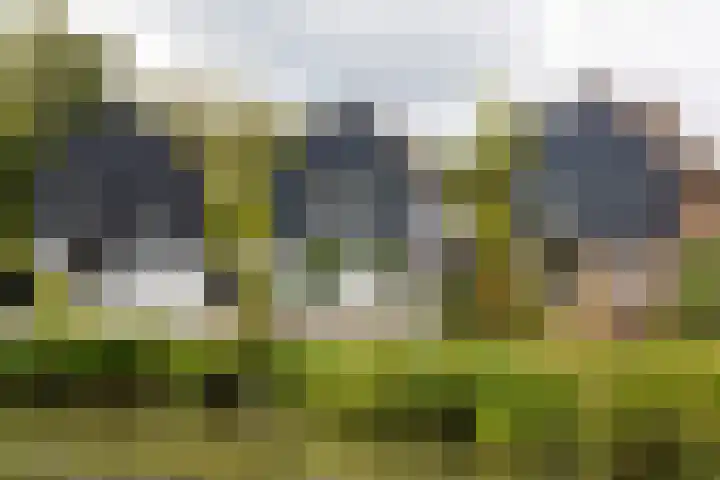 Trekvalk 6 Nieuwegein thumbnail 42