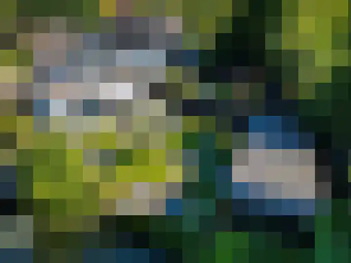 Trekvalk 6 Nieuwegein thumbnail 43