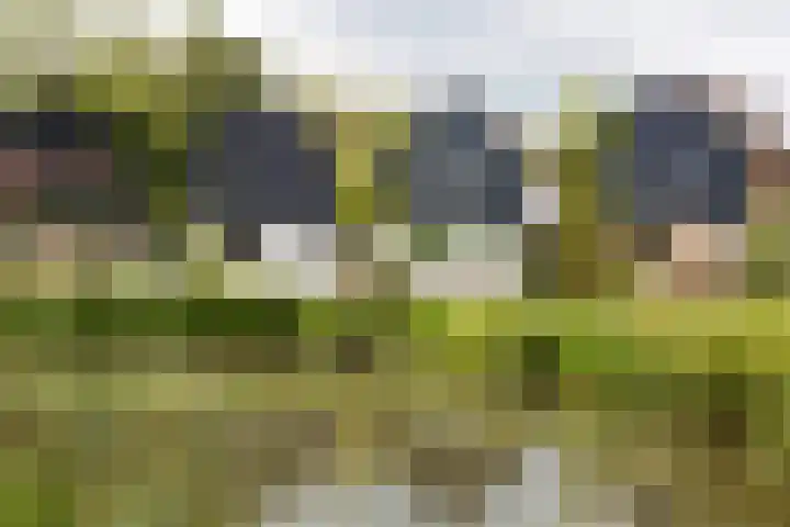 Trekvalk 6 Nieuwegein thumbnail 51
