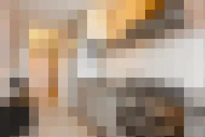 Trekvogelweg 165 Amersfoort thumbnail 15