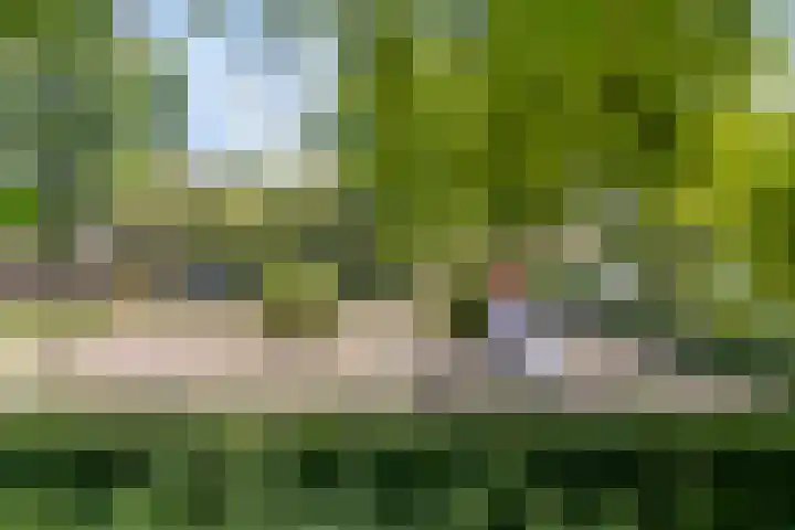 Trekvogelweg 225 Amersfoort thumbnail 35