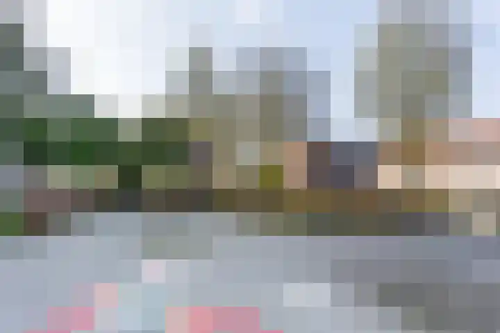 Trekvogelweg 227 Amersfoort thumbnail 42
