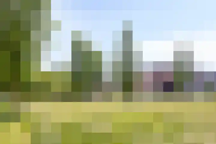 Trekvogelweg 275 Amersfoort thumbnail 23