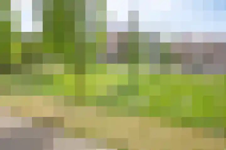 Trekvogelweg 287 Amersfoort thumbnail 23