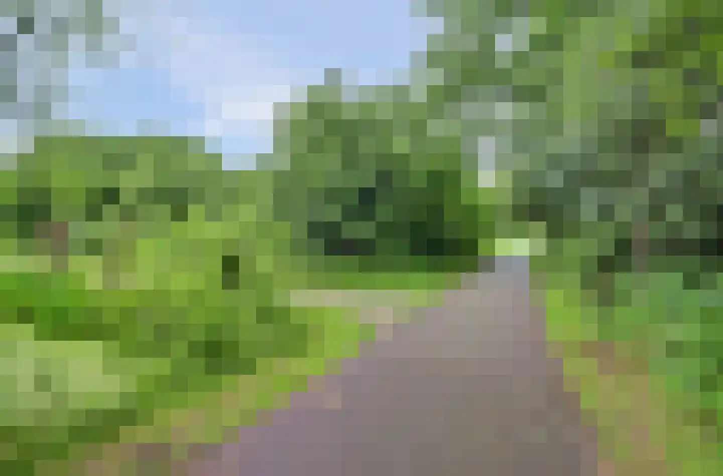 Trekvogelweg 32 Amersfoort thumbnail 49