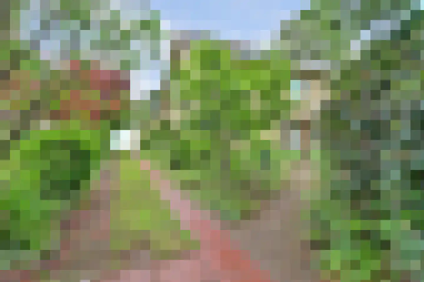 Trekvogelweg 32 Amersfoort thumbnail 5