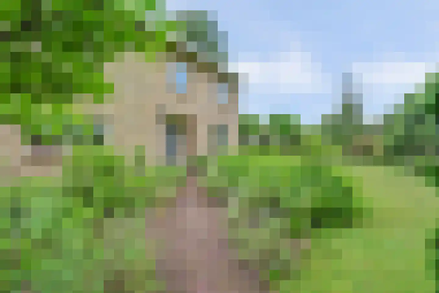 Trekvogelweg 32 Amersfoort thumbnail 6
