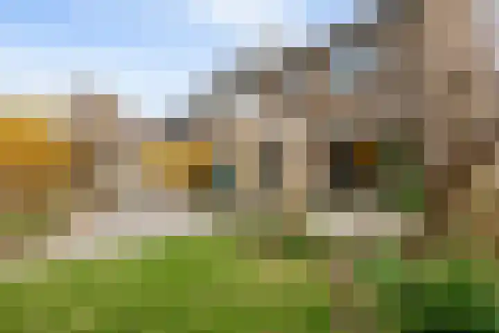 Trekvogelweg 34 Amersfoort thumbnail 63