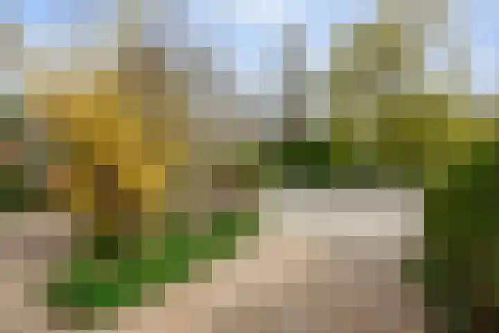 Trekvogelweg 34 Amersfoort thumbnail 68