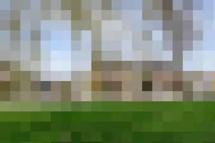 Trekvogelweg 34 Amersfoort thumbnail 69