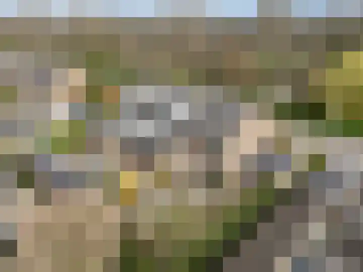 Trekvogelweg 34 Amersfoort thumbnail 70
