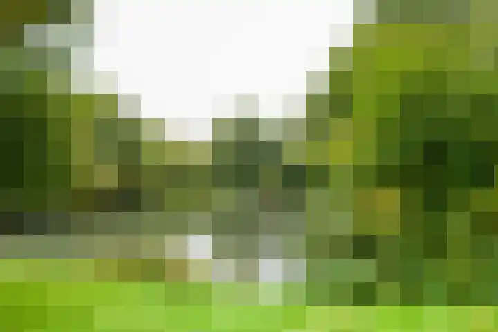 Trekvogelweg 367 Amersfoort thumbnail 22