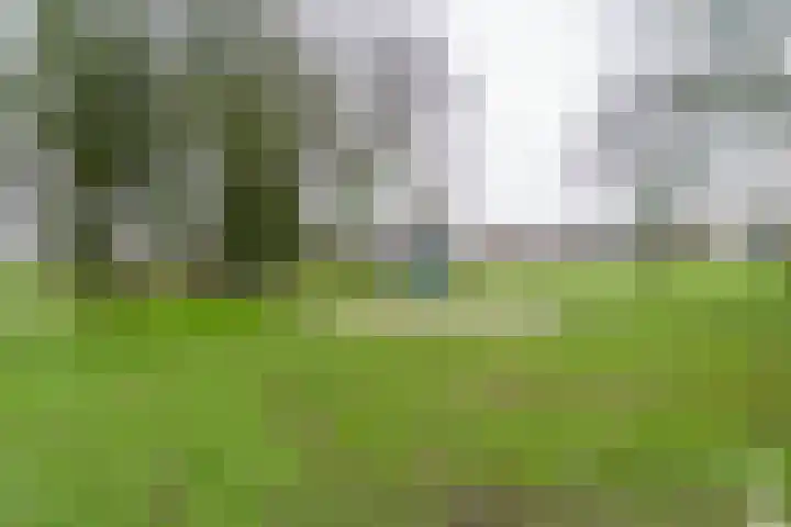 Trekvogelweg 56 K Amersfoort thumbnail 30