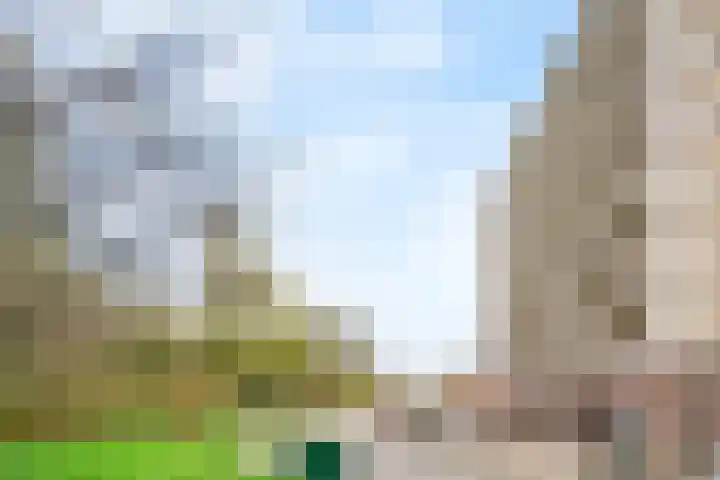 Trekvogelweg 60 E Amersfoort thumbnail 32