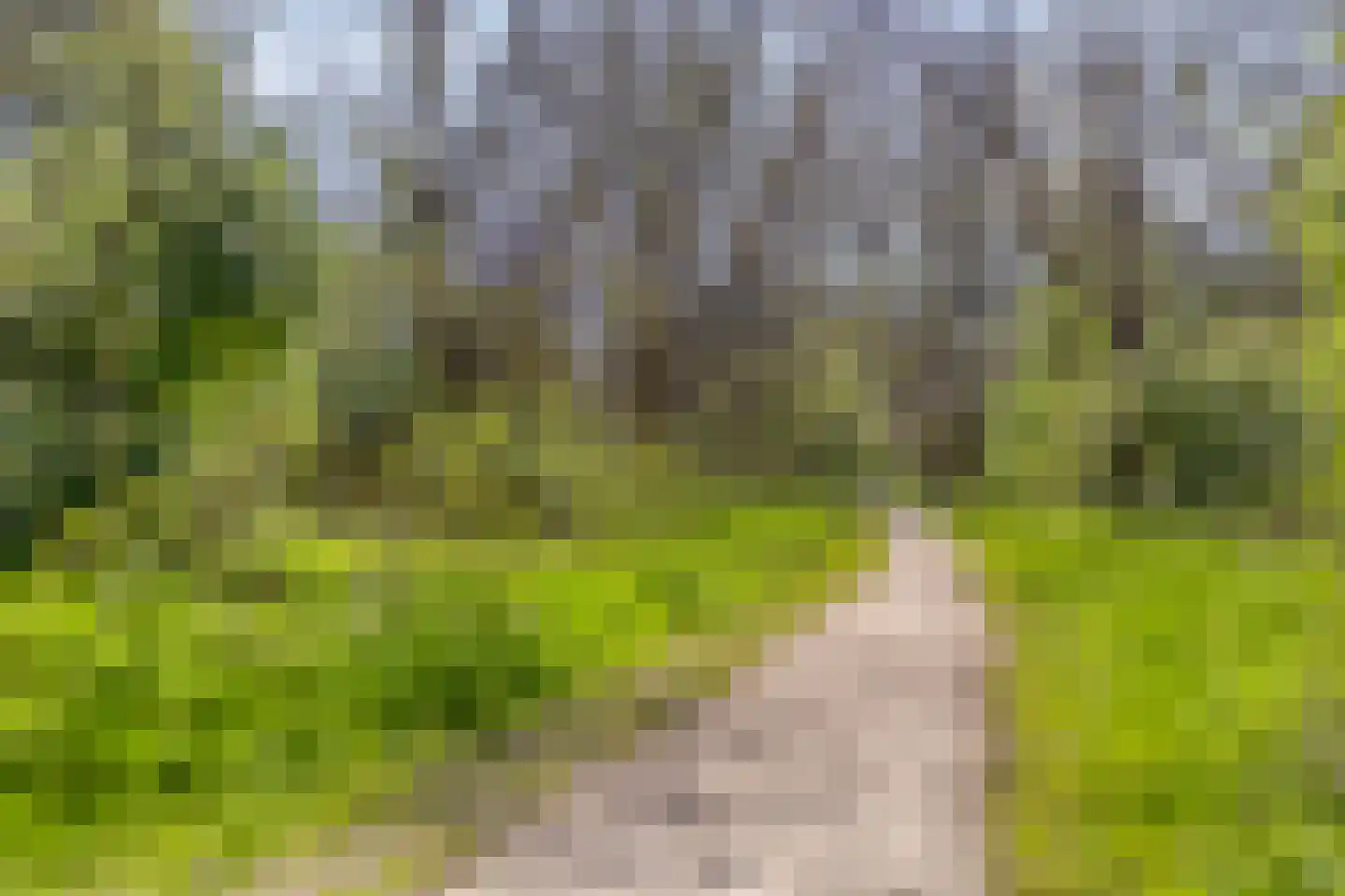 Trekvogelweg 60 L Amersfoort thumbnail 25