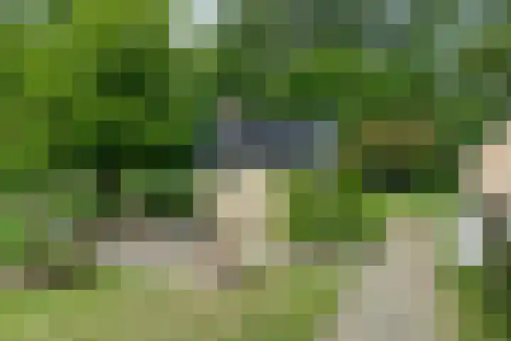 Trekweg 10 Kollum thumbnail 45