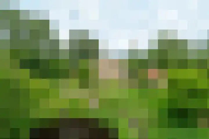 Trekweg 10 Kollum thumbnail 5