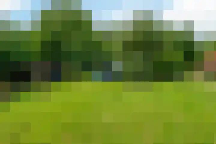 Trekweg 10 Kollum thumbnail 53