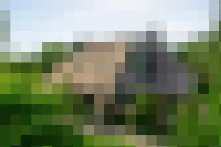 Trekweg 10 Kollum thumbnail 8
