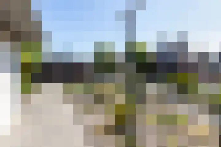 Trekweg 12 Apeldoorn thumbnail 16