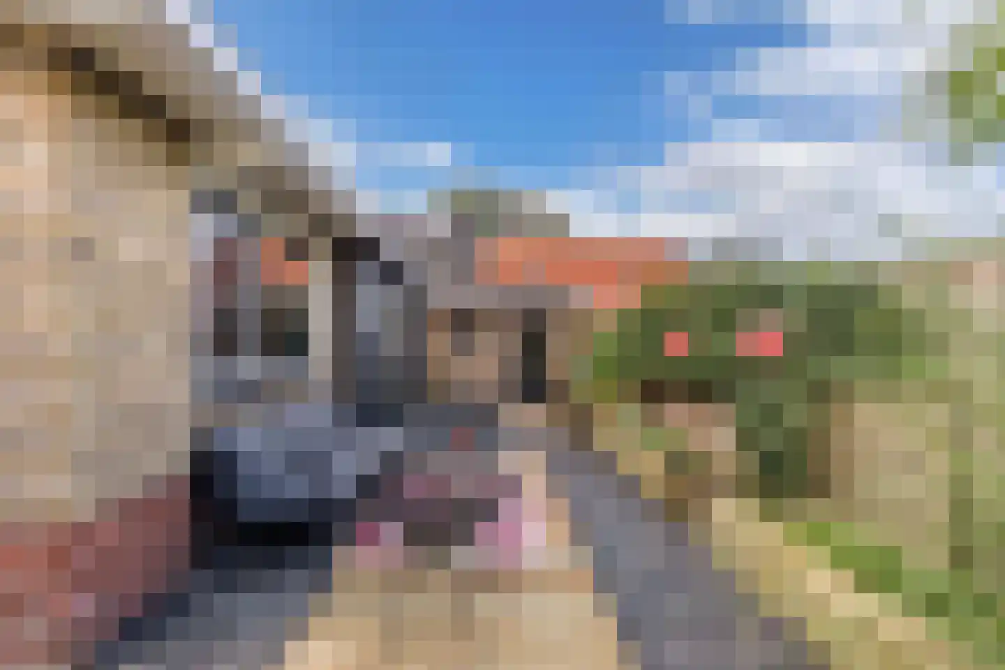 Trekweg 134 Parrega thumbnail 29