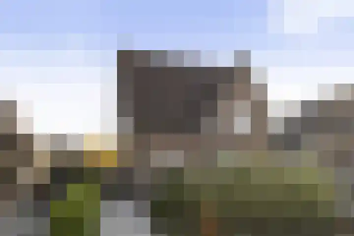 Trekweg 14 Apeldoorn thumbnail 5