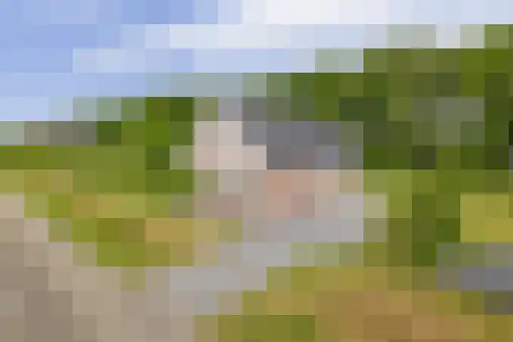Trekweg 19 Zuidbroek thumbnail 6