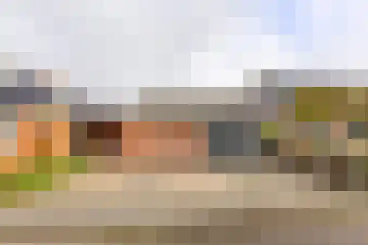 Trekweg 29 Ulrum thumbnail 34