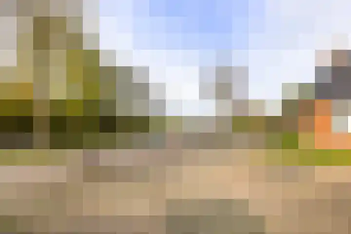 Trekweg 29 Ulrum thumbnail 36