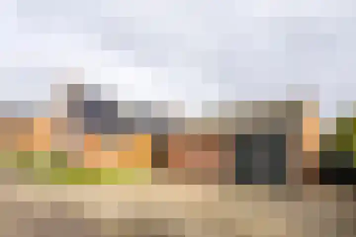 Trekweg 29 Ulrum thumbnail 6