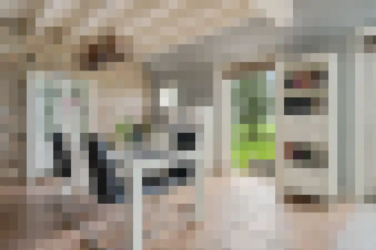 Trekweg 3 Parrega thumbnail 18