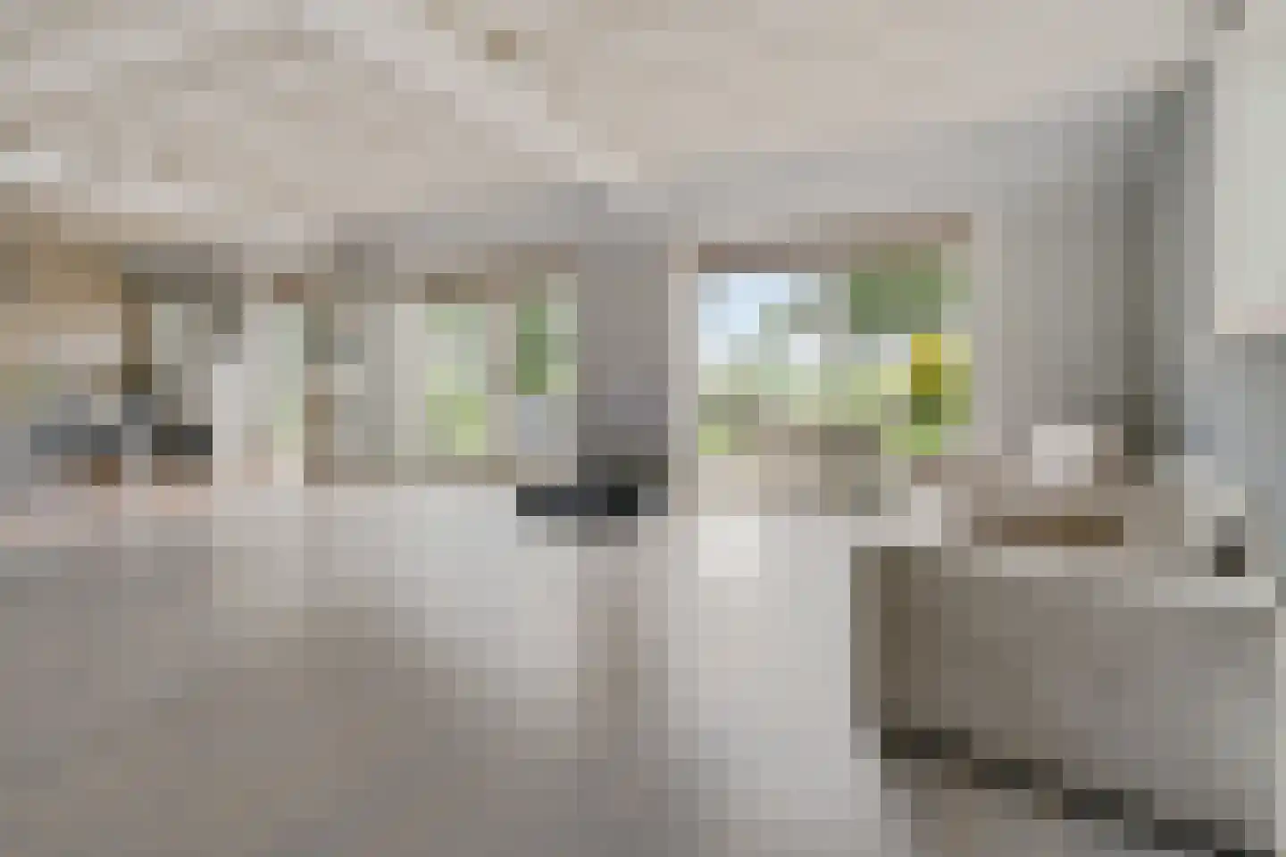 Trekweg 3 Parrega thumbnail 22