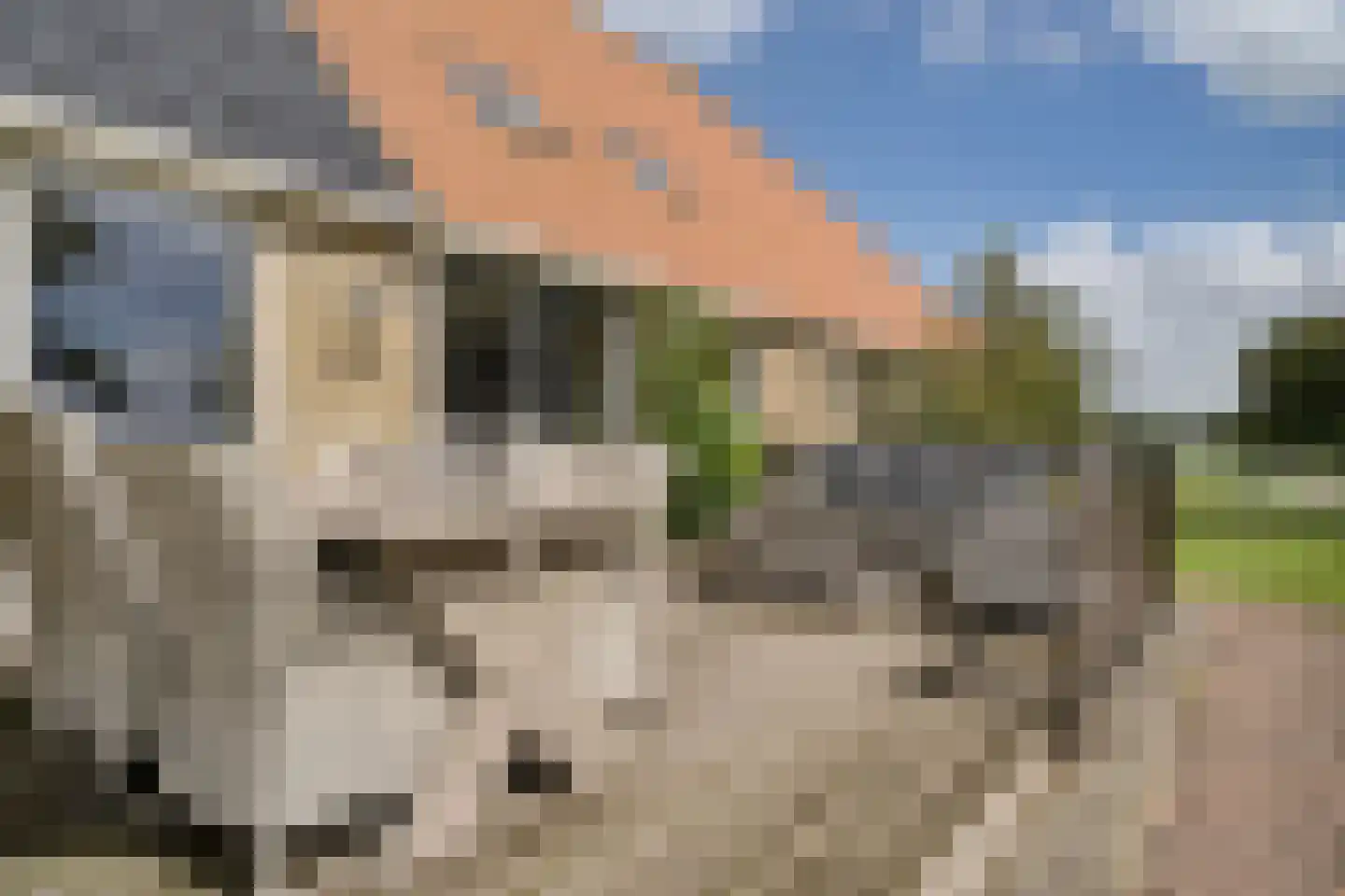 Trekweg 3 Parrega thumbnail 41