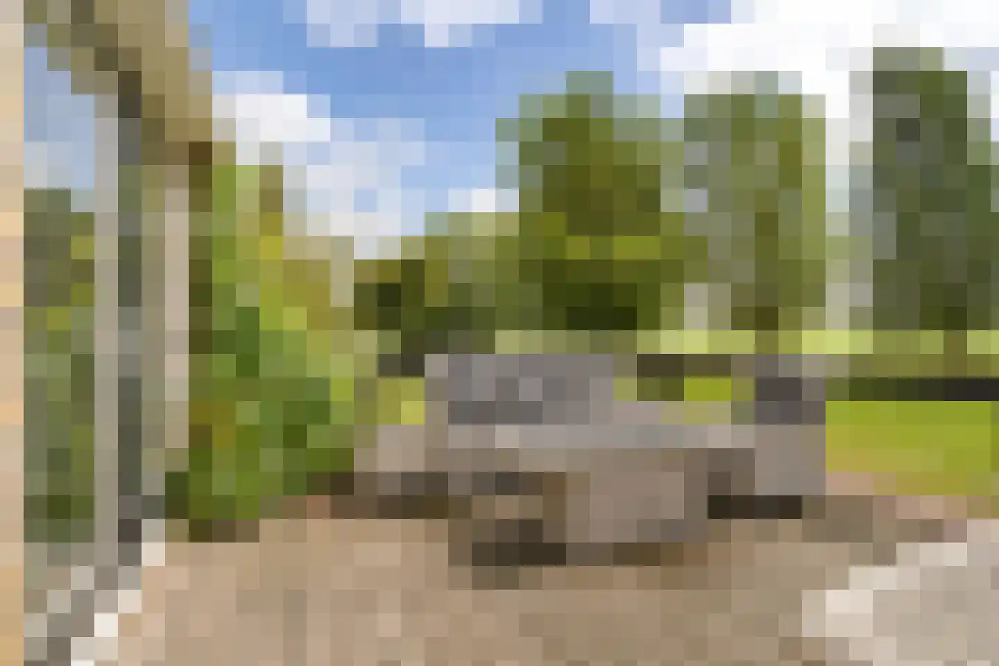 Trekweg 3 Parrega thumbnail 7