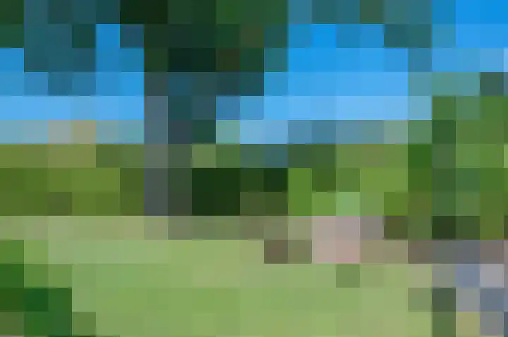 Trekweg 41 Heiligerlee thumbnail 51
