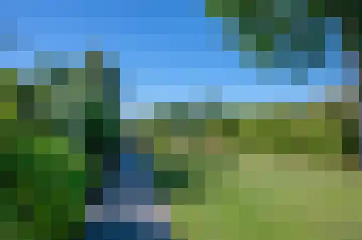 Trekweg 41 Heiligerlee thumbnail 55
