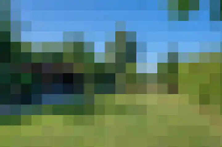 Trekweg 41 Heiligerlee thumbnail 56
