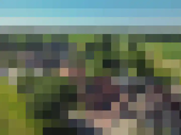 Trekweg 41 Heiligerlee thumbnail 6