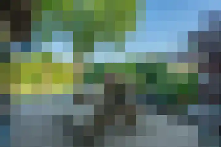 Trekweg 41 Heiligerlee thumbnail 60