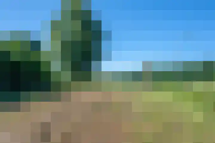 Trekweg 41 Heiligerlee thumbnail 64