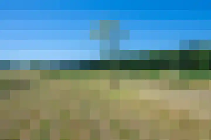 Trekweg 41 Heiligerlee thumbnail 65