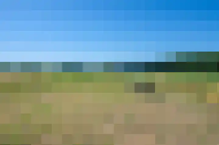 Trekweg 41 Heiligerlee thumbnail 66