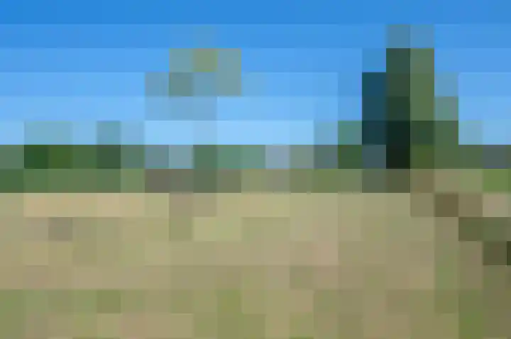 Trekweg 41 Heiligerlee thumbnail 67