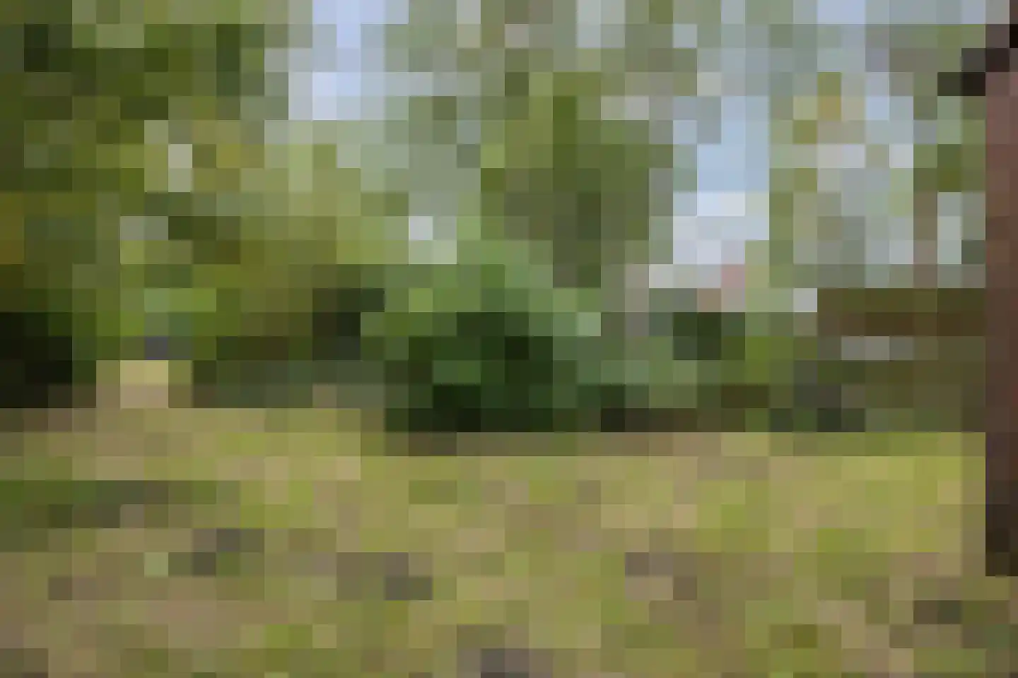 Trekweg 55 Heiligerlee thumbnail 15