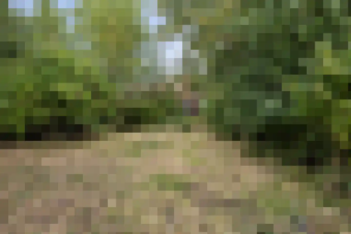 Trekweg 55 Heiligerlee thumbnail 16